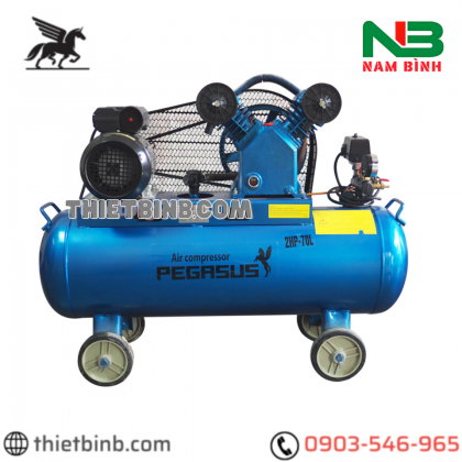 Máy nén khí 1 cấp Pegasus TM-V-0.17/8-70L - 2HP, 70L, 8 bar (220V)