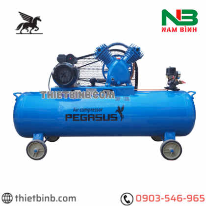 Máy nén khí 1 cấp Pegasus TM-V-0.25/8-120L - 3HP, 120L, 8 bar (220V)