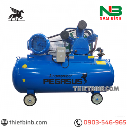 Máy khí nén 2 cấp Pegasus TM-W-1.6/12.5-500L – 15HP, 500L, 12.5bar (380V)