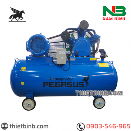 Máy nén hơi 2 cấp Pegasus TM-W-2.0/12.5-500L - 20HP, 500L, 12.5bar (380V)